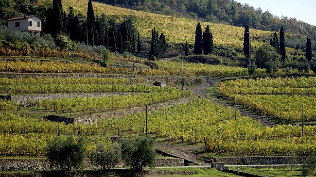Sapori e profumi di vino inondano il cuore del Chianti Classico