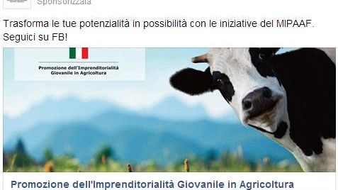 Mucca scappa e Vinci, curioso spot su Facebook