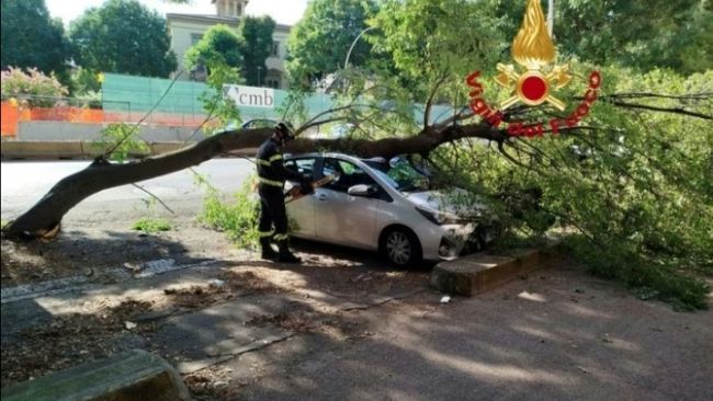 Cade ramo in viale Gramsci, danneggiate auto in sosta