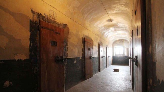 Murate: residenze artistiche, installazioni site specific e mostre