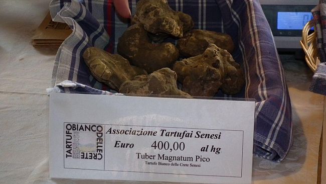 Crete senesi: scocca l'ora del tartufo bianco