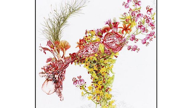 Matt Collier: 'Le Istruzioni Mediche'