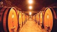 b003091913-chianti-rufina-giovanni-busi-riconfermato-presidente-del-consorzio