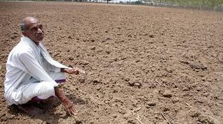 A Odeon Firenze “COTTON FOR MY SHROUD”