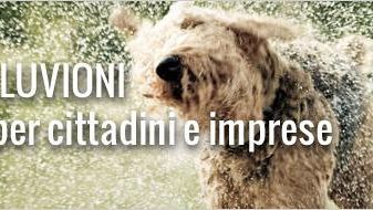 Toscana: anche oggi forti piogge e frane