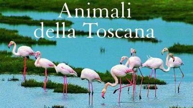 La Toscana è la regione europea con la migliore biodiversità