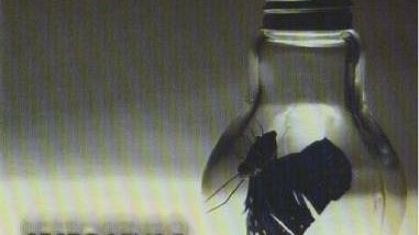 L’anima melodica dei Sesto Senso