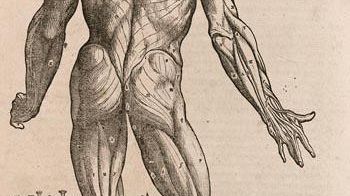 Dall’Uomo Vitruviano al rock: ciclo di conferenze sul corpo umano