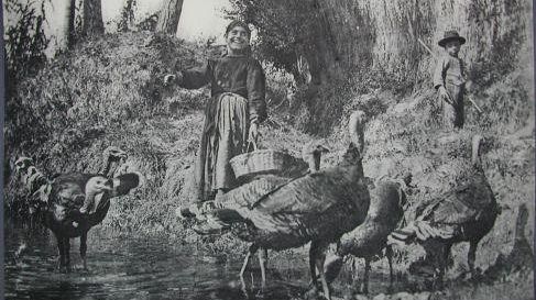 Fotografia: a Livorno una mostra dedicata a Corrado Baroni