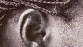 Cospe: il Bilancio sociale 2006