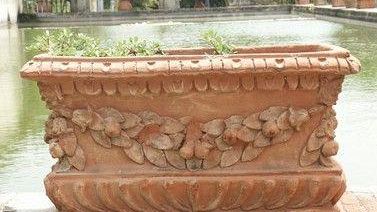 b311251843-cotto-imprunetino-un-tavolo-regionale-per-la-crisi-del-settore