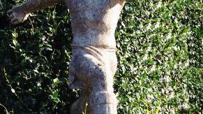 L'idea di Nicchi dopo gli errori di Firenze: una Sala Var a Coverciano