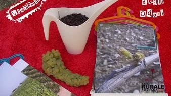 Speciale bambini a Wine Town