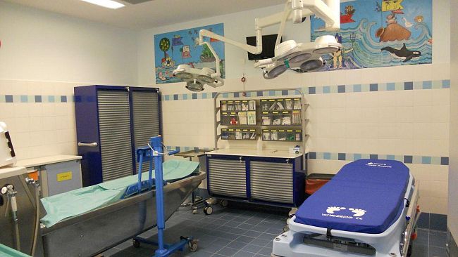 Pediatria in rete e due nuove camere al Centro Ustioni del Meyer