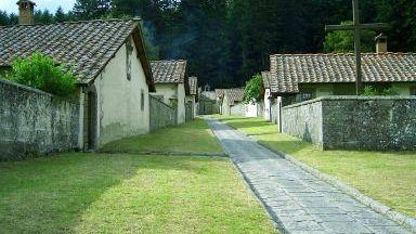 Casentino, a fuoco le pinete di Camaldoli