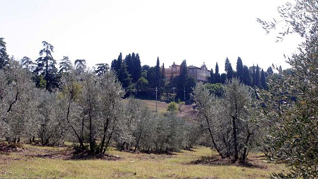 Mondeggi Lappeggi: l'affidamento in gestione di tutti i terreni agricoli