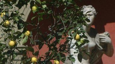 Riapre dal 1° aprile il Giardino dei Semplici