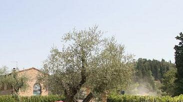 Ponti di primavera: gli operatori confidano nelle condizioni meteo favorevoli e nei last minute