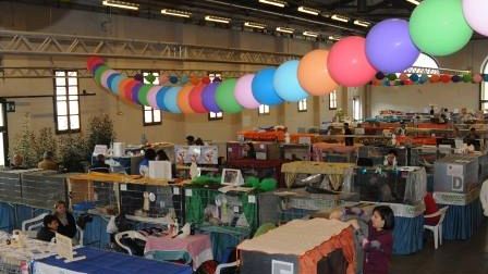 Boom di presenze per la Mostra Internazionale Felina