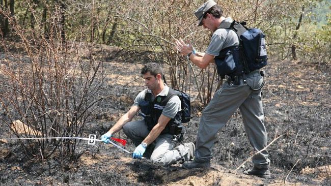 Lucca: Corpo Forestale dello Stato ferma in flagranza di reato l'incendiario dei Monti Pisani