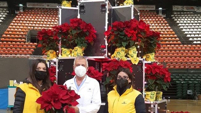Una piramide di rosse Stelle di Natale Made in Tuscany
