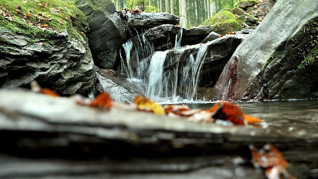 Magia d'autunno: i colori del foliage in Toscana