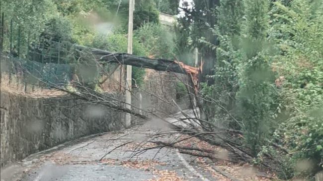 Devastazione in Toscana, due morti per la caduta di alberi