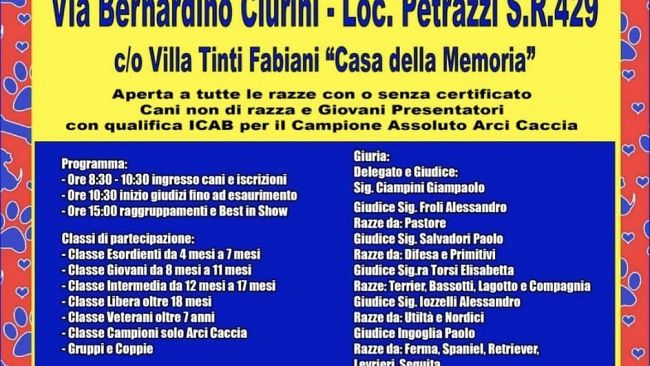 Castelfiorentino: Esposizione nazionale canina di bellezza