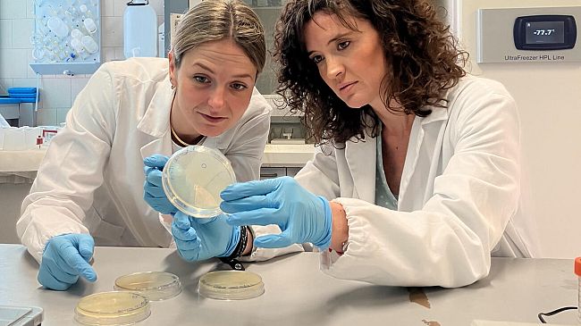 Cosa succede al cervello durante il digiuno?