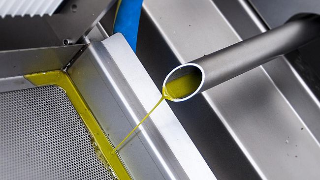 44 oli extravergini di oliva diventano ambasciatori della Toscana