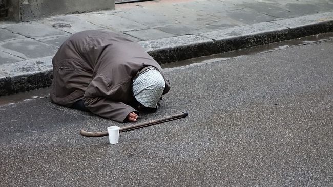 Accattonaggio con cani a Firenze, Comune sollecitato a intervenire