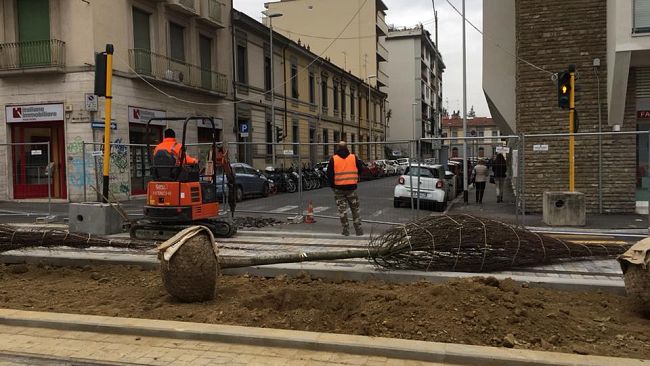 Tramvia e alberi: ne saranno abbattuti 1.150 e piantumati 2.600