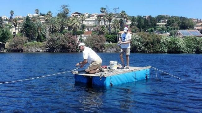 Quando le prime tracce di sfruttamento dell’olivo in Italia?