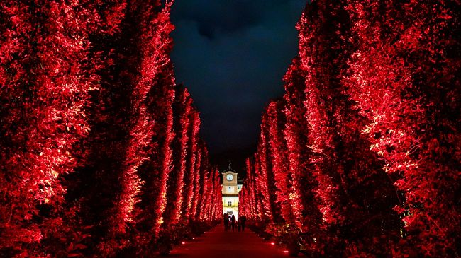 halloween-celebration-carnival-2025