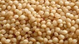 Superfood in Toscana coltivando quinoa e amaranto