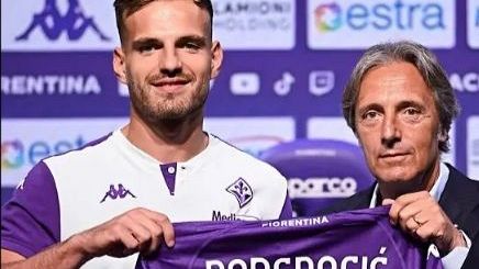 Pongracic vede viola 