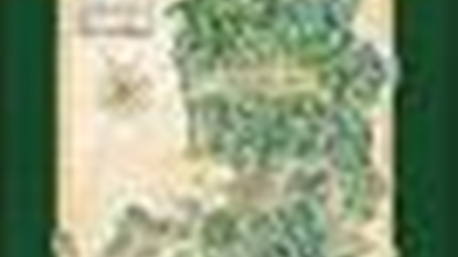 Centri storici fiorentini: itinerario illustrato negli acquerelli di Massimo Tosi