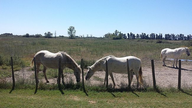 Venti anni di gemellaggio tra Altopascio e Saint-Gilles