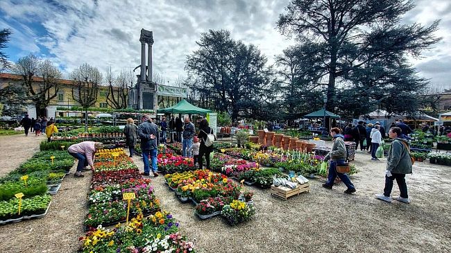 fiorinfiera-2024-a-borgo-san-lorenzo-con-60-espositori