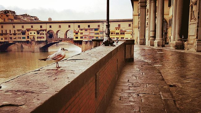 Firenze senza turisti dall'estero per quanti anni?