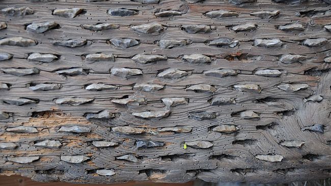 Archeologia: le slitte da trebbiatura già in uso nel 6.500 a.C.