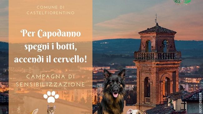 Capodanno: niente botti e zero vetri