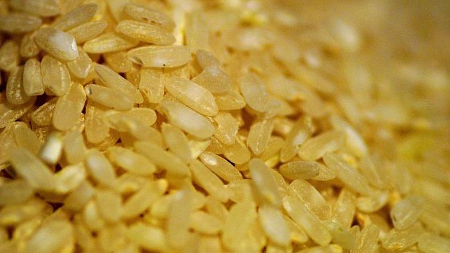 Venditrice sudamericana abusiva offre cibo agli agenti