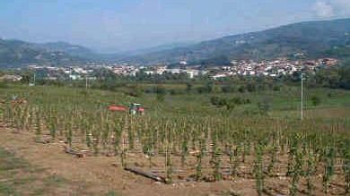 Rufina: domenica 28 giugno la Festa del Volontariato