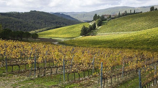 Paesaggio, il Chianti sarà inserito nel Patrimonio Unesco