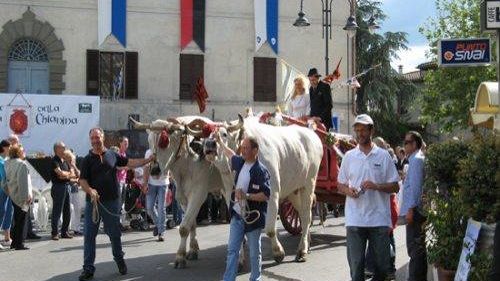 La Valle del Gigante Bianco: tra gastronomia, arte e lotta alle mafie