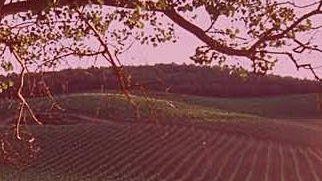 a703231441-chianti-classico-20-sulle-vendite-del-2005-br-in-usa-il-30-del-vino-prodotto