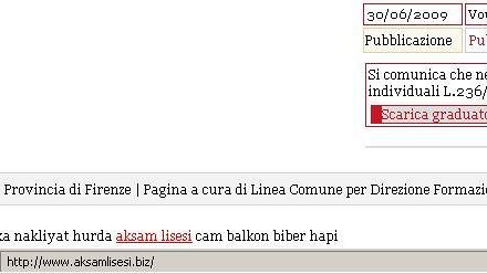 Craccato il sito della Provincia di Firenze