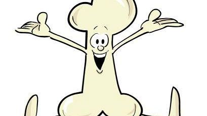 Operazione Mister Bone: così la scuola batterà l’osteoporosi