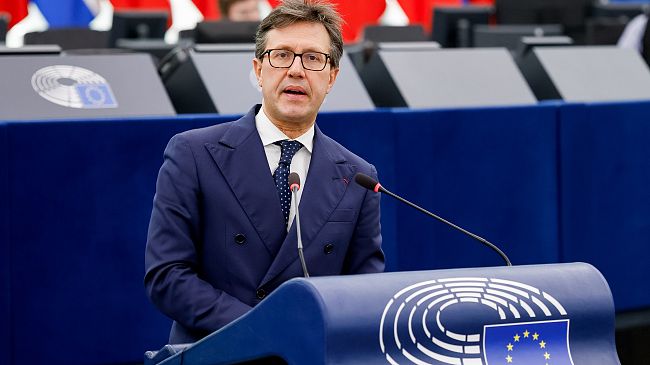 Benessere di cani e gatti: l’UE approva una legge storica